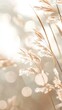 © xbzz - Gentle breeze blowing through golden grasses nature scene soft light outdoors close-up serenity