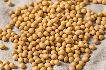 Sticker - Dry Organic Raw Soy Beans