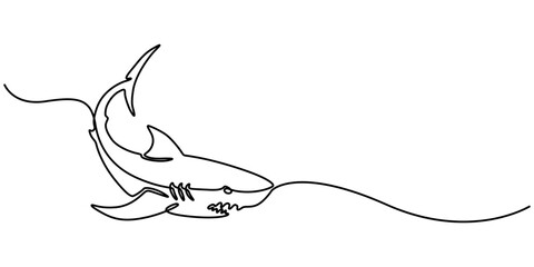 Shark fish in continuous line art drawing style. Minimalist black linear sketch on white background. Vector illustration, Sharks fish Continuous one line drawing of fish isolated flat pro vector. 