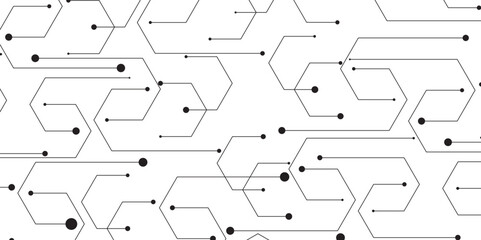 Canvas Print - black on white abstract particles connection background with hexagon. hi tech digital connect, commu