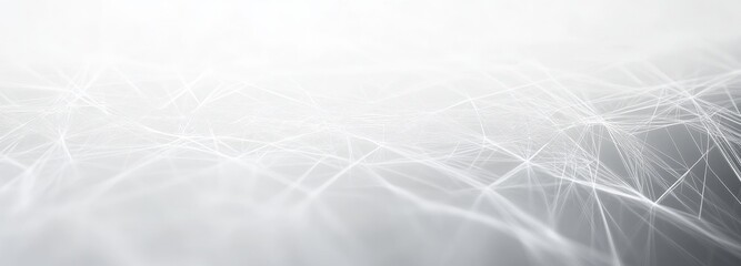 Wall Mural - A white background with a grey line. abstract background of technology wave and dot.