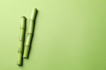 Wall Mural - Cut bamboo stems on light green background, flat lay. Space for text