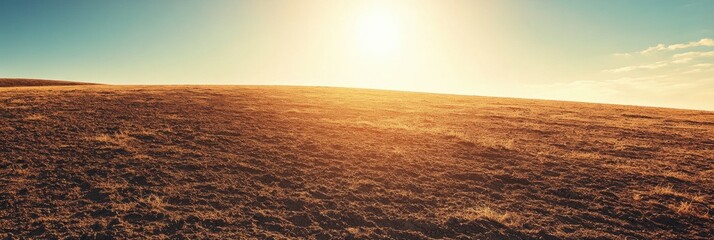 Fototapete - Sunrise over a barren landscape with golden hues illuminating the horizon during early morning hours. Generative AI