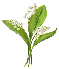 Wall Mural - Beautiful Lily of the valley flower falling in the air isolated on white background. levitation or zero gravity floral conception. High resolution image.