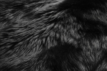 gorilla fur texture