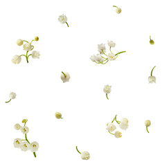 Wall Mural - Beautiful Lily of the valley flower falling in the air isolated on white background. levitation or zero gravity floral conception. High resolution image.