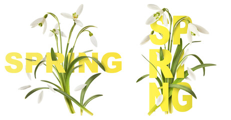 Wall Mural - creative set, collection with many beautiful snowdrop flowers with green leaves falling in the air i