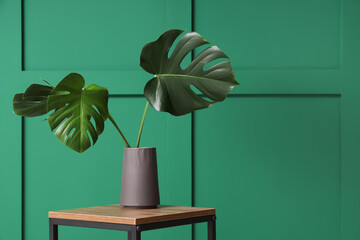 Canvas Print - Vase with monstera leaves on coffee table near green wall