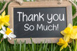 © PulseImages - Thank you so much message written on a chalkboard with yellow flowers, expressing appreciation and gratitude