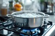 © kardaska - Stainless steel pot boiling water on gas stove in the kitchen