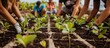 © Pinit - Diverse group engages in mangrove planting to protect coasts.