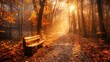 © MINHOO - Autumn forest with wood bench with orange maple leaves fall under trees with sunlight. AI generated