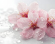 © Alona - Close-up of pink cherry blossoms glistening with droplets of water.