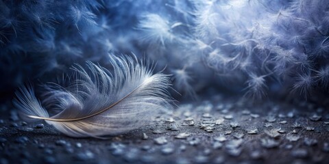 Wall Mural - A Single Feather Resting Amongst a Collection of Downy Plumes on a Dark Surface