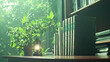 © julio - Sunlit Bookshelf Scene With Green Plant and Lantern Displaying Indoor Still Life