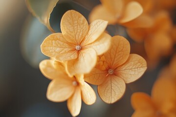 Wall Mural - Close-up shot of a bunch of bright yellow flowers