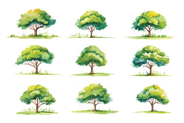 Watercolor of tree side view isolated on white background for landscape and architecture drawing, elements for environment and garden, painting botanical for section