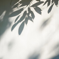 Wall Mural - Elegant Plant Shadow on White Textured Wall – Minimalist Aesthetic, Natural Light, and Botanical Silhouette for Modern Interior Design