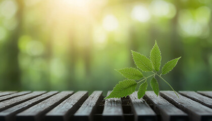 Wall Mural - renewable energy geothermal energy hydroelectric power. fresh green leaves on wooden surface with so