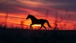 © Prakakrong - Silhouette of a horse galloping at sunset