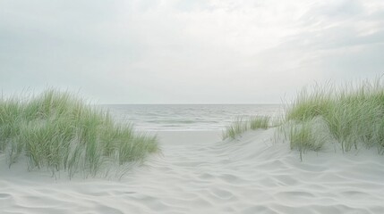 Wall Mural - a serene view of a sandy beach with tall grass and gentle waves under a cloudy sky.