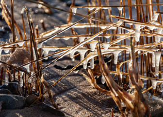 frozen pieces of ice shine in the backlight on blades of grass
