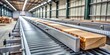 © VisualVault - Industrial Wood Processing Modern Conveyor Belt System Transports Raw Lumber Through a Factory