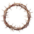 © AbirHasan - crown of thorns on white background