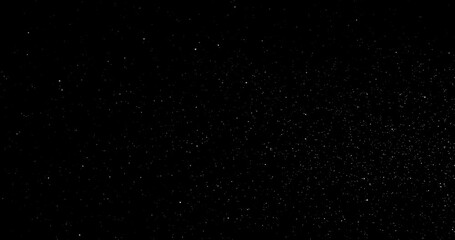 Wall Mural - Natural Organic Dust Particles Floating On Black Background. Dynamic Dust Particles Randomly Float In Space. Shimmering Glittering Dust Particles With Bokeh. Slow motion on Black Background.