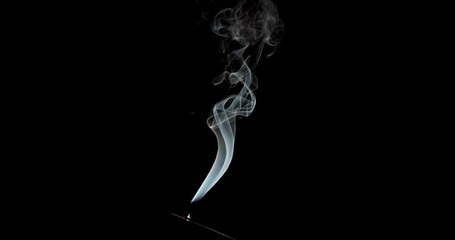 Wall Mural - Real smoke on a black background. Thin Flexible Trickle of Real Smoke. Colorful real smoke rises up. Ideal for background or over-layer with blending mode add, screen, lighten.