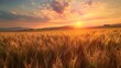 © Mahmud Creative - Sunset over green wheat field. Beautiful nature landscape with sun.