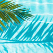 © Vasili - Bright turquoise swimming pool water with soft palm tree shadows on the surface, evoking tropical vacation vibes. Summery poolside relaxation with copy space.