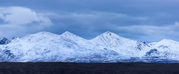 Wall Mural - scenic tundra landscape near denali national park along denali highway in alaska.