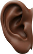 © AC's Inspired Images - human ear listening, listen, face part, brown black skin and anatomy, isolated transparent png