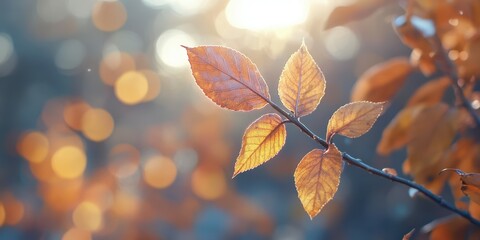  Sunlight filters through autumn leaves creating a warm, golden atmosphere in a serene natural setting