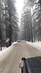 driving in forest in winters with snowing in air and trees covered in ice