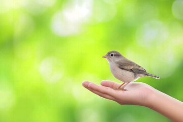 gentle hand holding a small bird against a bright green natural background, symbolizing kindness, co