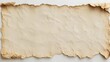 © Shehub - Aged Crumpled Parchment Paper Texture Background