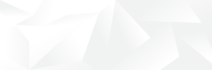 Wall Mural - abstract white geometric banner design background.