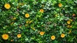 © Wahyu - Lush green floral wall, spring blooms, nature background, vibrant, texture