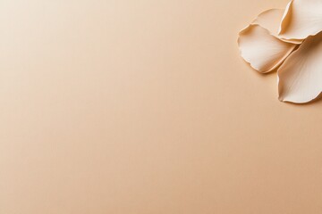 Poster - A soft-lit close-up of a single flower petal resting flat on a beige background, highlighting its delicate veins and textures in a tranquil setting