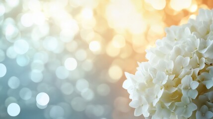 Aufkleber - A white hydrangea bloom captures attention with a soft, magical bokeh background in pastel hues, offering ample copy space on the left for creative design