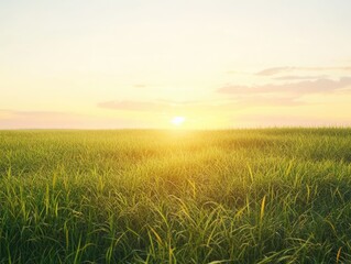 Wall Mural - serene expanse of verdant grassland bathed in the warm glow of sunrise