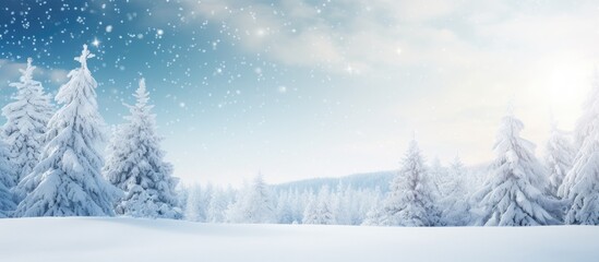 Aufkleber - Snow-covered branch of a Christmas tree prominently placed in the foreground against a serene winter landscape with soft blue and white hues