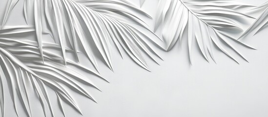 Leinwandbilder - Elegant white textured background with shadows of palm leaves gracefully arranged in the top left and bottom right corners creating a serene ambiance.