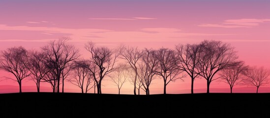 Poster - Silhouetted trees against a captivating pink and purple sunset sky with a soft gradient, creating a serene and tranquil atmosphere.