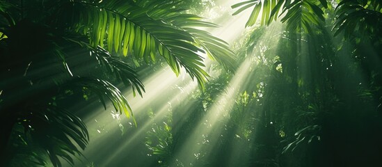 Fototapete - Sunlight beams filtering through dense green foliage with vibrant leaves creating a serene atmosphere and highlighting natural textures and patterns