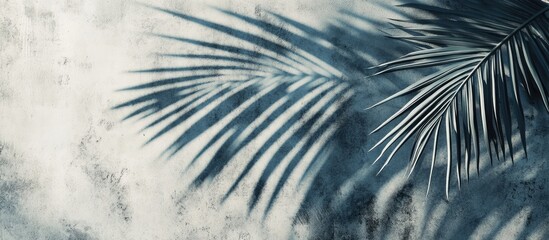 Poster - Soft shadows of tropical palm leaves in dark green hues on light textured concrete background creating a tranquil summer travel concept image