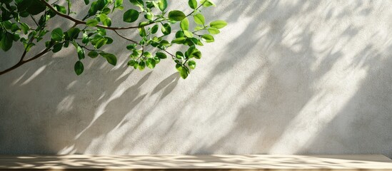 Aufkleber - Spring sunlight casting delicate shadows of green leaves on a textured white marble wall with a warm wooden table creating a serene ambiance