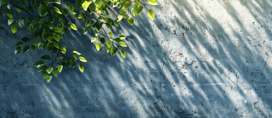 Fototapete - Lush green leaves casting soft shadows on a textured blue wall creating a serene and calming atmosphere with natural light highlights.